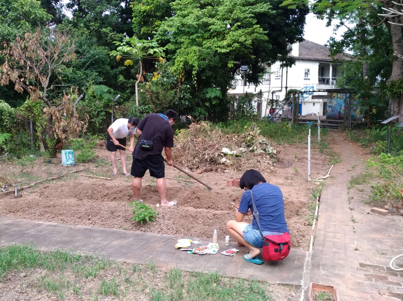 Farm Activity