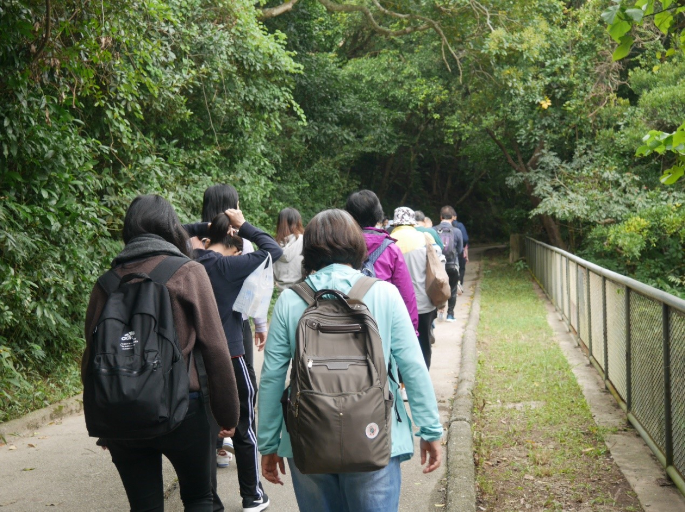 秋日大潭遊  Hiking in Tai Tam Country Park